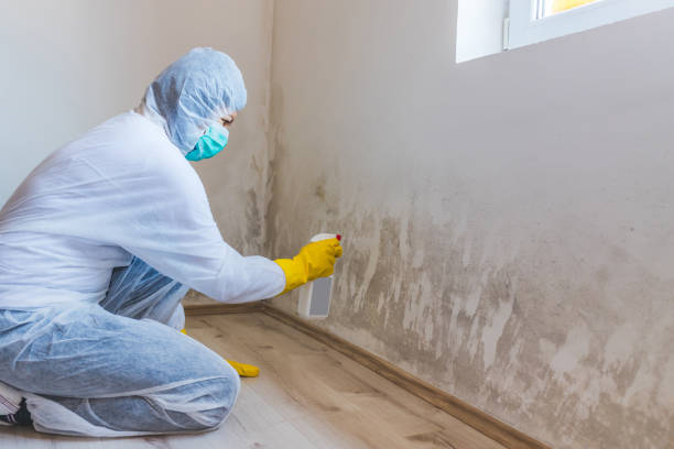 Crawl Space Mold Remediation treatment of floor joists in Deerfield Beach