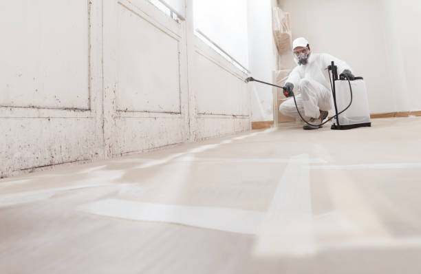 Black mold remediation team in Deerfield Beach